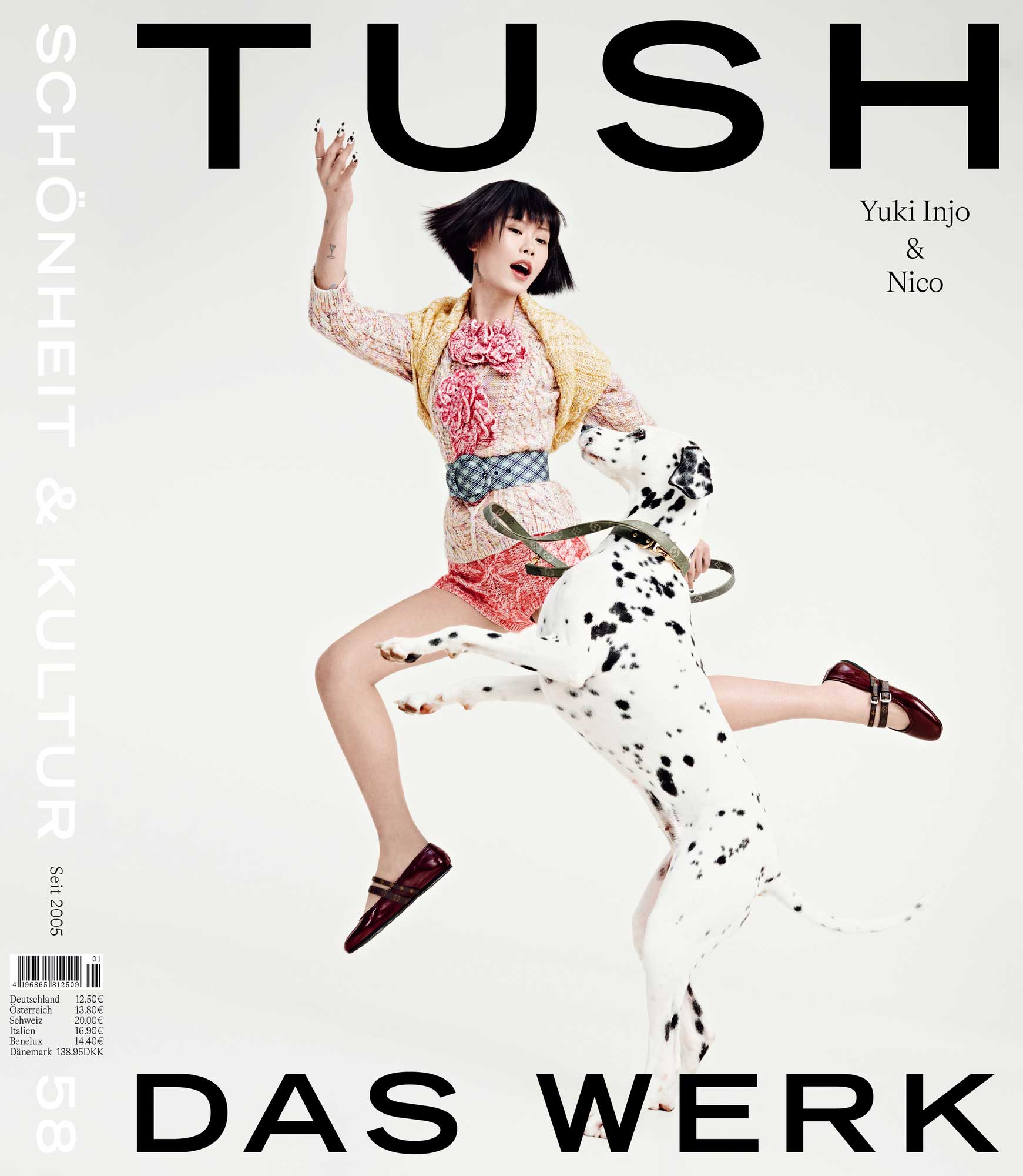 TUSH 58 DAS Werk COVER