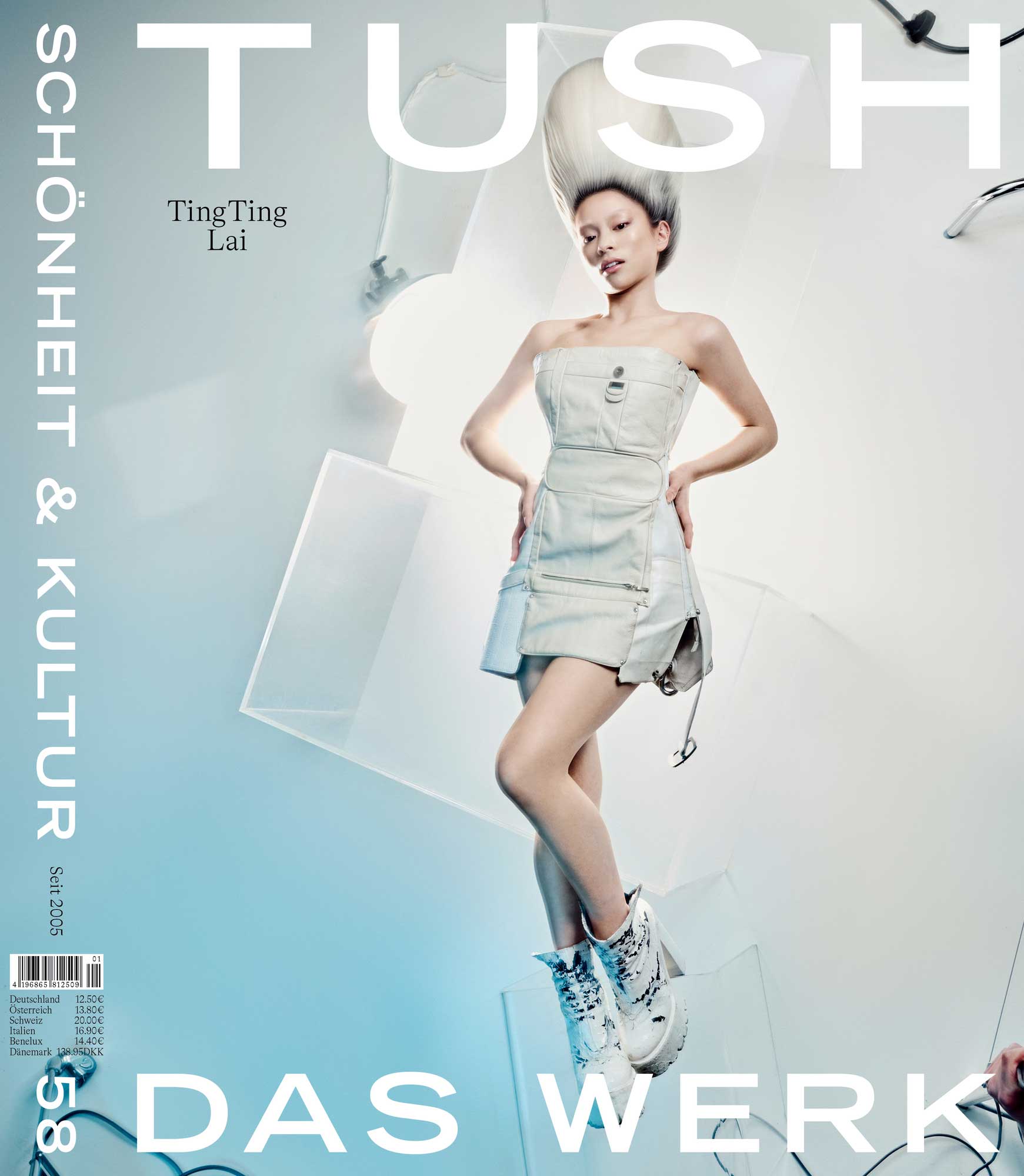 TUSH 58 DAS Werk COVER