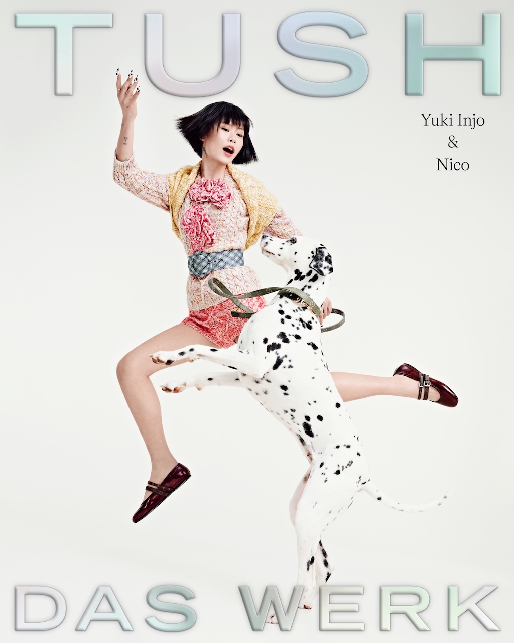 TUSH 58 DAS Werk COVER