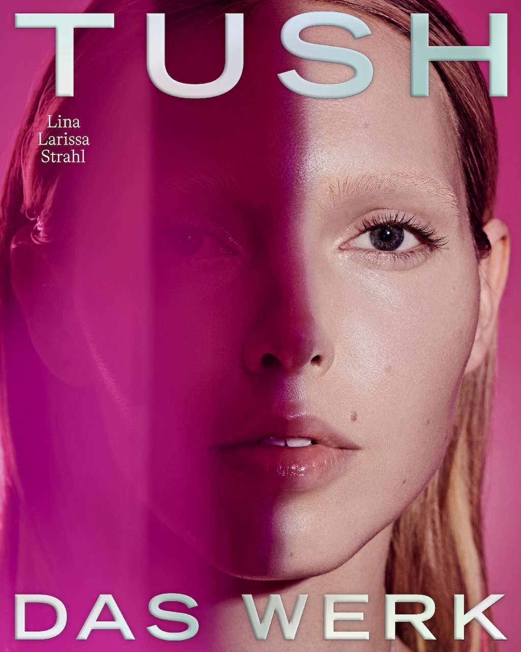 TUSH 58 DAS Werk COVER