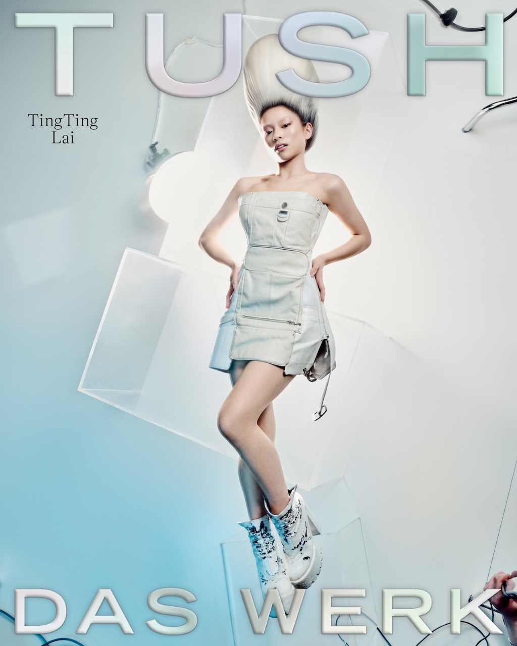 TUSH 58 DAS Werk COVER