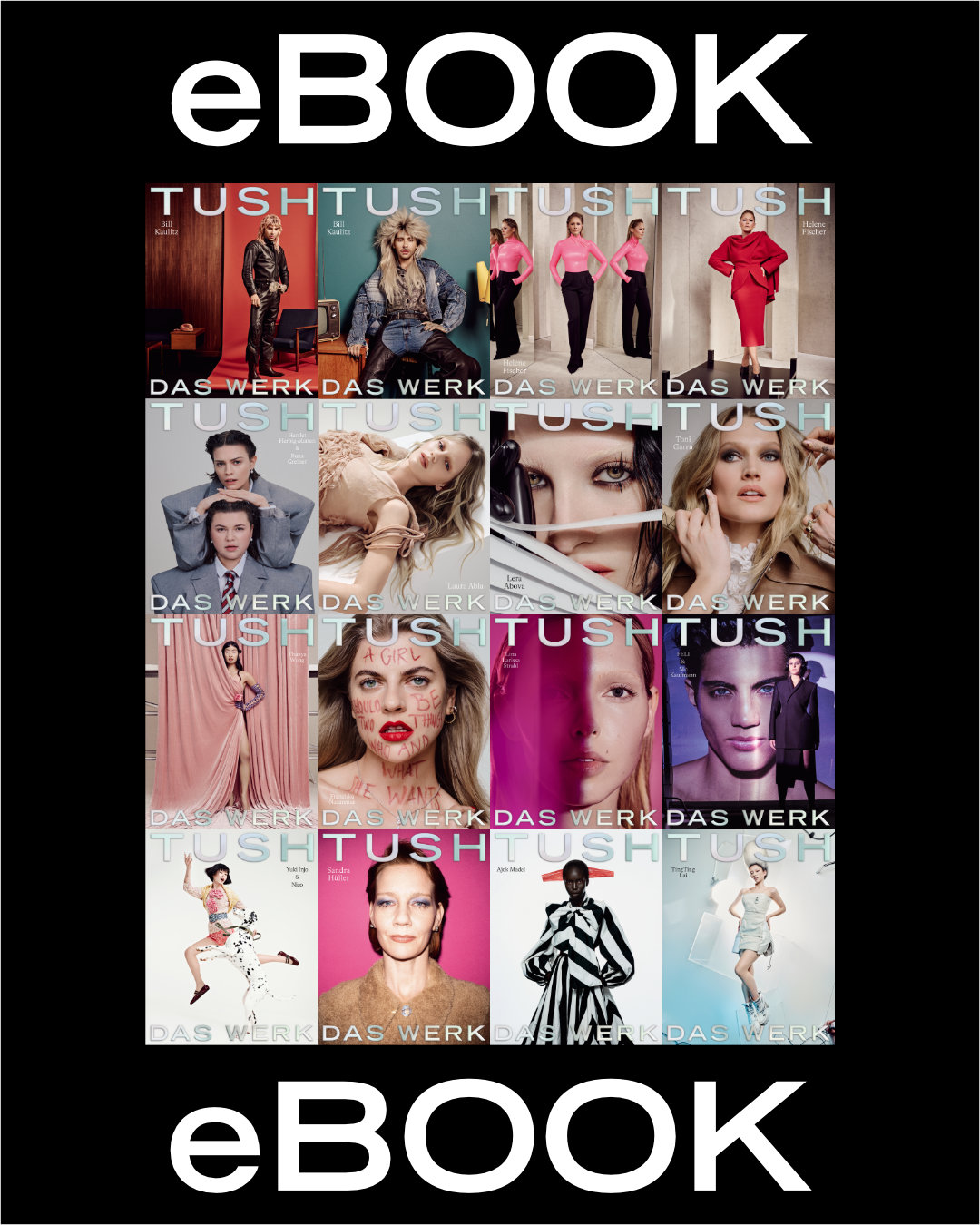 TUSH 58 DAS Werk eBook